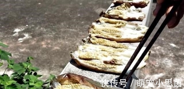 搅拌均匀|立秋后,遇到这菜我一买就是10斤,晒一晒,蒸一蒸,比吃肉都香