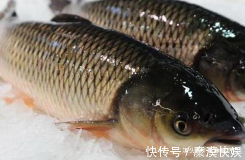 记忆力|天生“补脑菜”,吃了提高记忆力,多给孩子做,脑瓜子聪明!