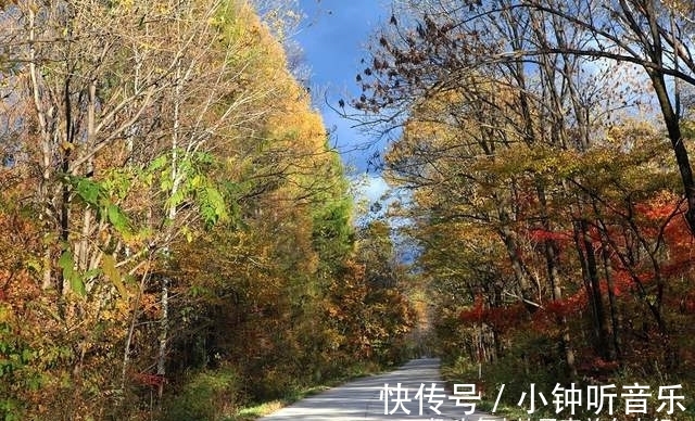 宝藏地|吉林旅游宝藏地，两个风格迥异的红叶谷，你更喜欢哪一个