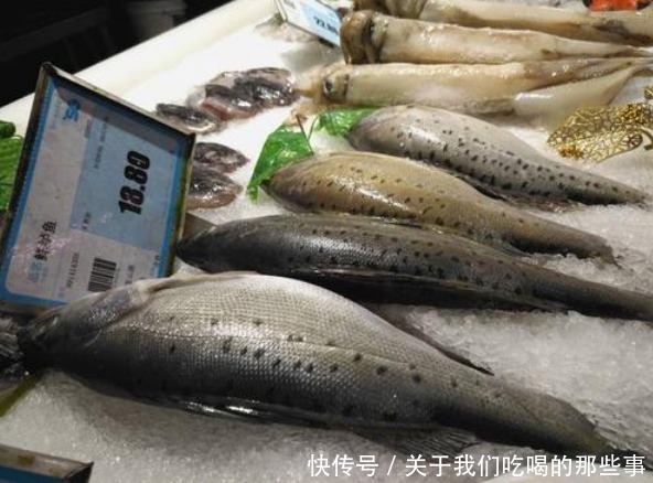 区别|都是鲈鱼,淡水鲈鱼和海鲈鱼有啥区别?口感营养都不同,别买错了