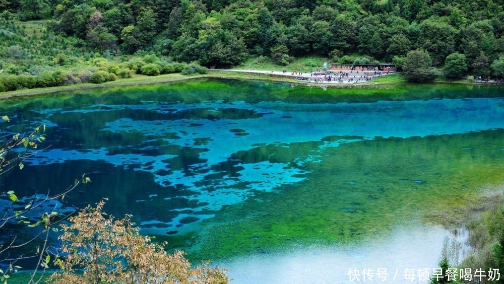 五彩斑斓|神奇绚丽的九寨沟，五彩斑斓的瑶池浴盆