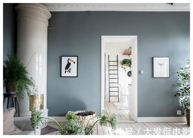 花园|参观53平小户型装修,步入式阳台设计成花园,回家也要照着做一个