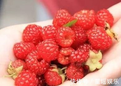 葡萄干|女性不想满脸皱纹,要学会吃3种食物,淡化皱纹,去除色斑!