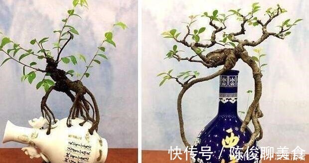 漂亮|这些破烂不要扔，做成“小花盆”，个性又漂亮，比买的强“百倍”！