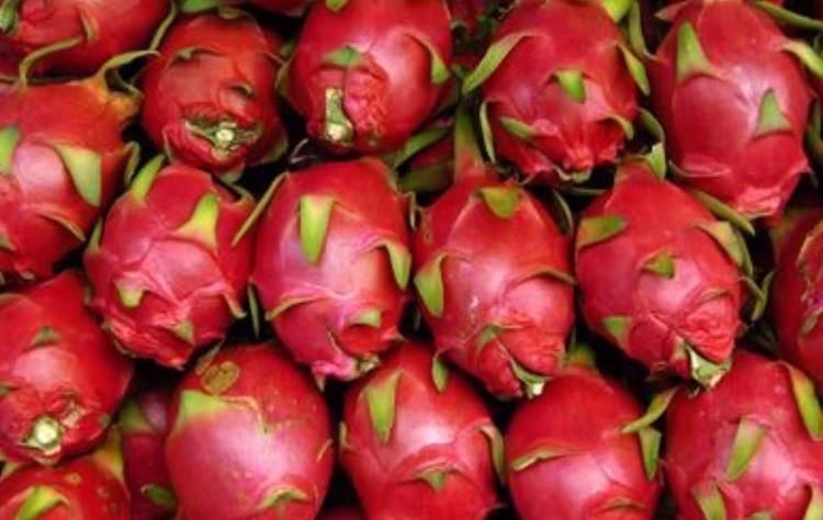 排毒养颜|人到中年想长寿,要坚持吃3种食物,美容养颜、淡化皱纹!