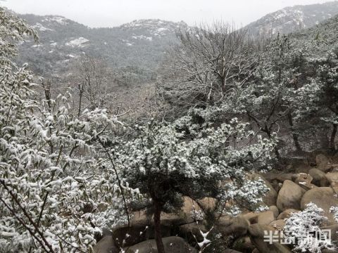 一场春雪飘洒而下 崂山美了美了