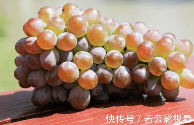 海带|提醒:吃完葡萄1小时之内,切记别碰这3种食物,建议早做了解