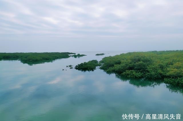 金海湾红树林几月最红