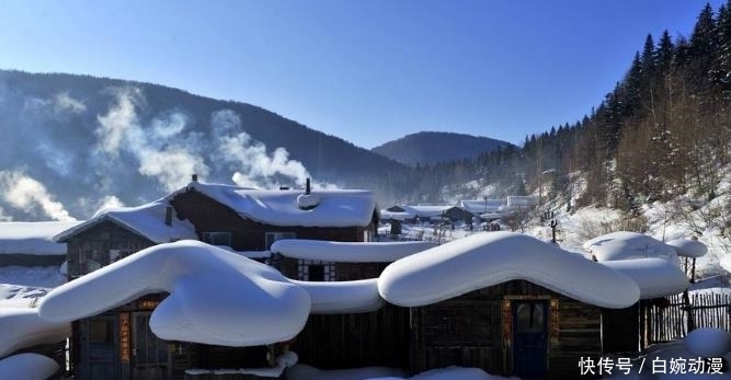 东北|在东北,冬天都是这样卖鱼的,很多人都没见过,网友:真想去看看