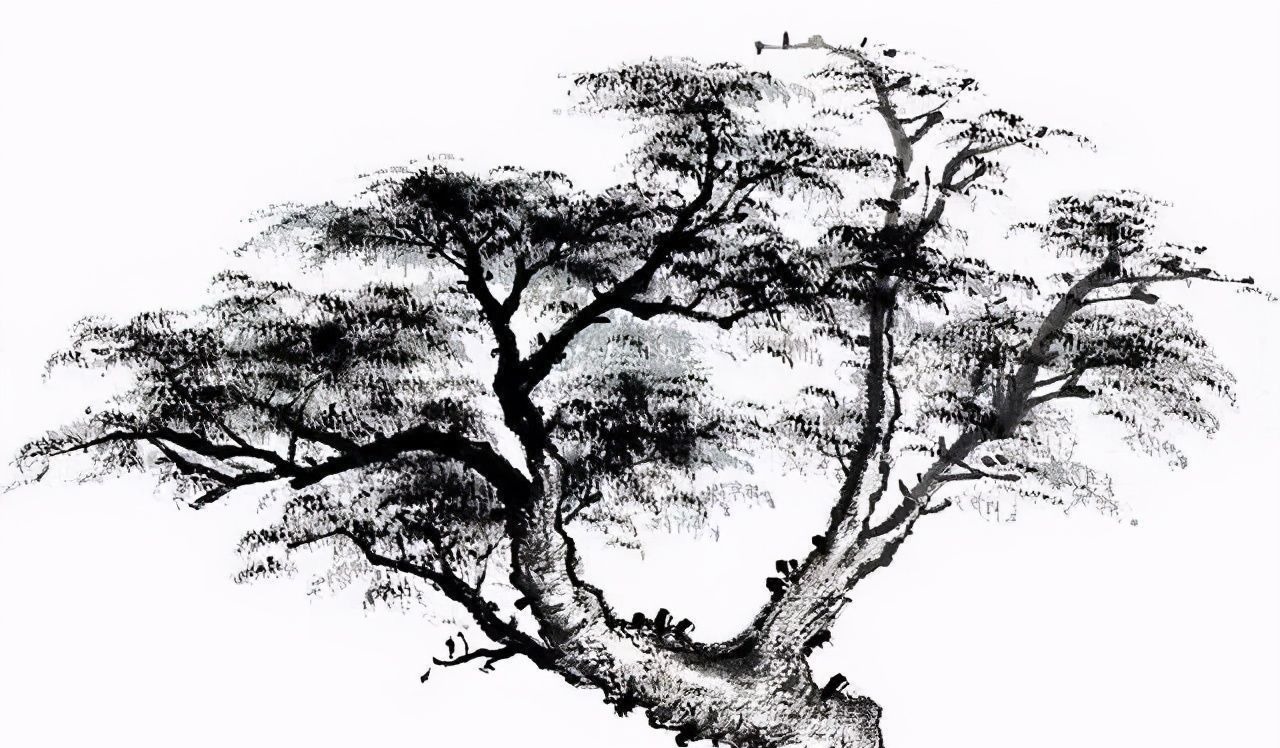竹林!中国画如何画松树、丛树、柳树、竹林,中国画树的画法大全