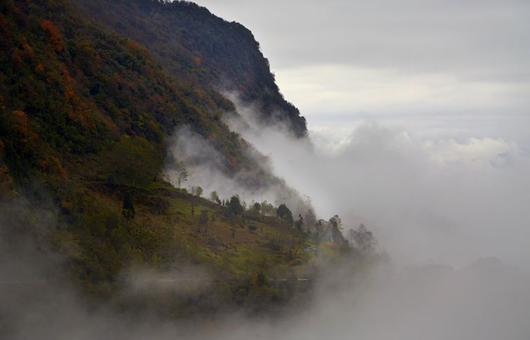 徐塘|平武有座山红透了！山上这条云端上的彩林公路秋色如画