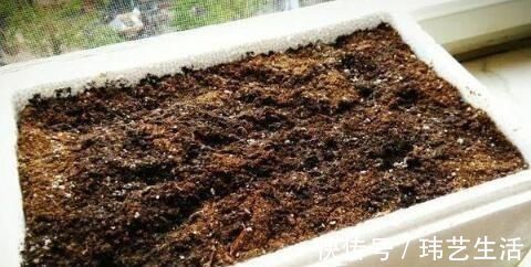 旧土|这4种土不能养花,很容易招虫烂根,养啥花都活不久