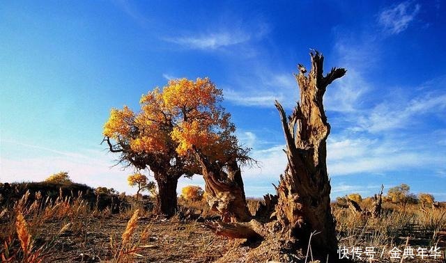 奋斗|马识途人到五十,有一件事比奋斗重要,谁能做到就是成功