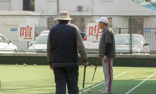 高血压|高血压吃三七粉，是降血压还是伤血管 听医生说完，就明白了