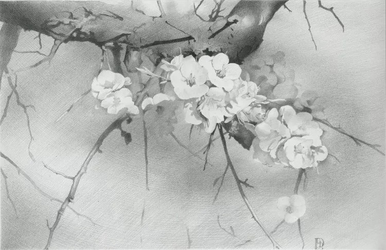 素描#乌克兰画家丹尼斯·切尔诺夫-头像、静物素描