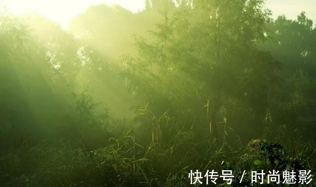 舴艋|诗词|有没有那样一首古诗词,令你“难以启齿”?