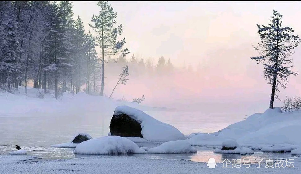  九天|大雪节气：万树有花春不红，九天无月夜长白