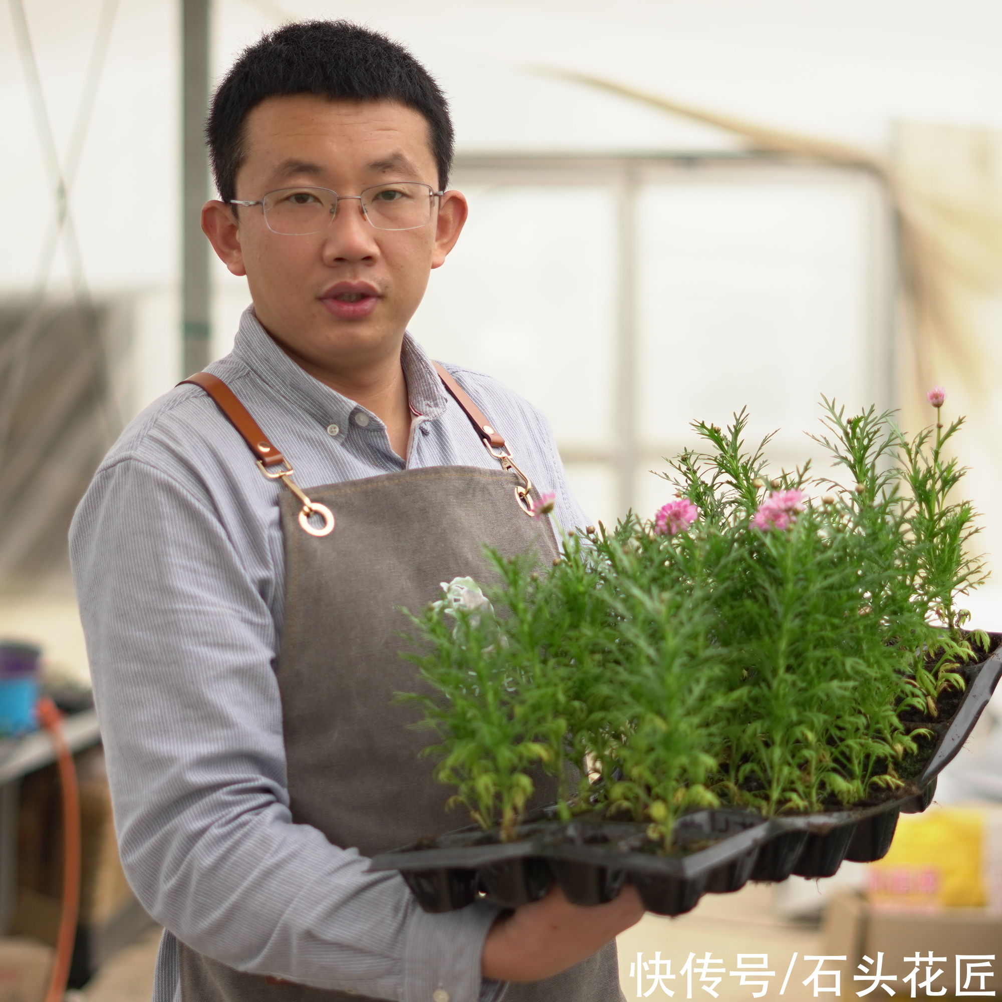  养玛格丽特花朵“褪色”？抓住“2个方面”就能养好，别担心