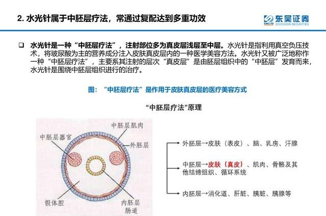 产品 医美行业深度研究报告进击的水光针！