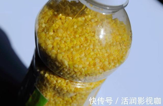 麝香液|钓鱼打窝料还靠买不妨自己在家做,取材方便效果绝佳!