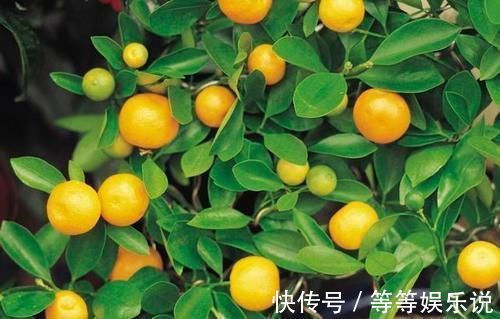 泻药|李时珍说一味药同补药则补,同泻药则泻,同升药则升,同降药则降