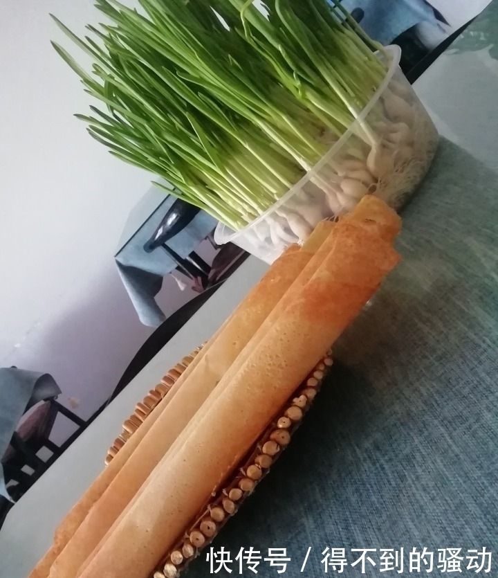 养多肉的心情说不清,都在照片里了