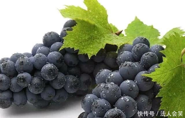 食物|夏季养生正当时,坚持吃三种食物,清热解毒,润肠排毒,越吃越瘦