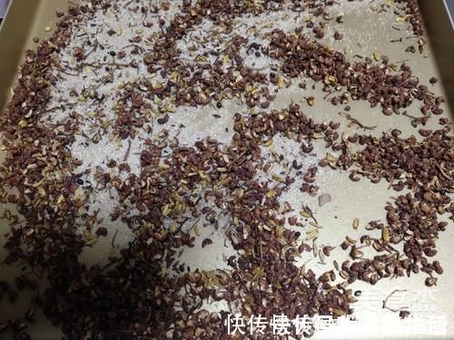 花椒|活了50年才知道,它是失眠的天敌,睡前喝点,一夜不打鼾睡得香