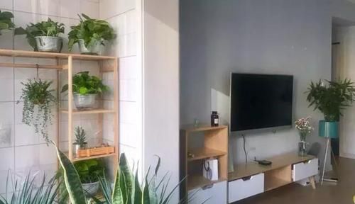 齐家青清|阳台纳入客厅后,靠窗的这1㎡居然让家里多了一间房