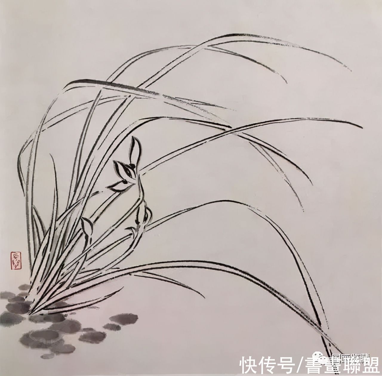 兰叶@国画兰花绘画技法，怎样画兰，兰与竹的组合画法教程