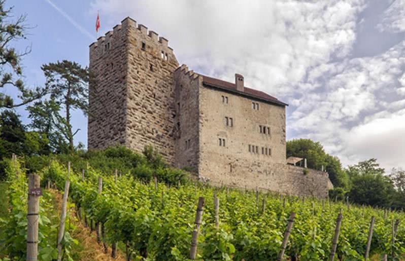 持续近900年的巅峰家族,一度称霸欧洲,却因为生孩子问题终结