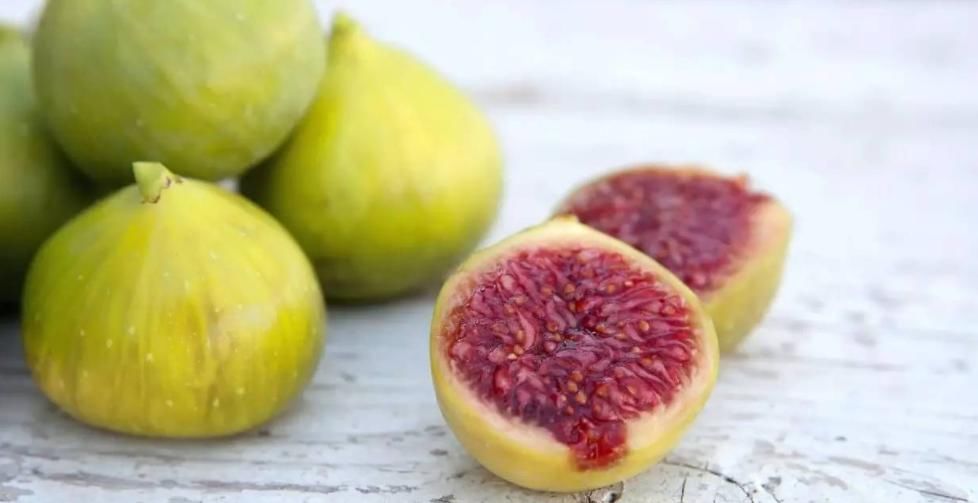 无花果盆栽实用性强，观赏兼食用，扦插打理格外省劲省心