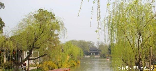 杨柳树|“生不睡柳,死不睡杨”,这俗语什么意思,杨柳树有什么说法