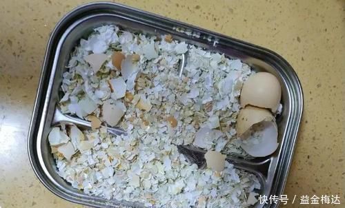 鸡蛋壳养花,用好了才是花肥,用不好,养一盆死一盆!