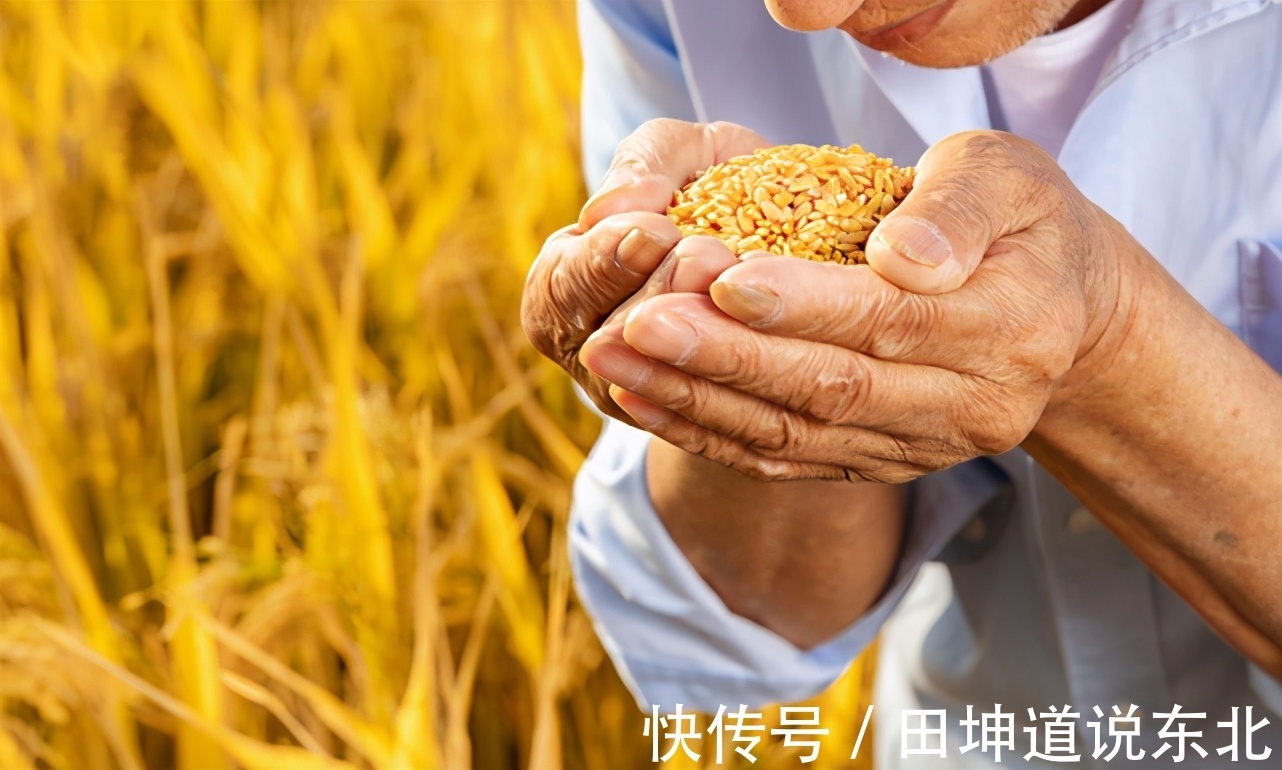 食品安全隐患就在身边！身体健康离不开吃的健康|田坤道| 西瓜