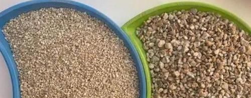 新手养花盆栽土里就掺杂它,土壤不结块,花草不闷根、烂根