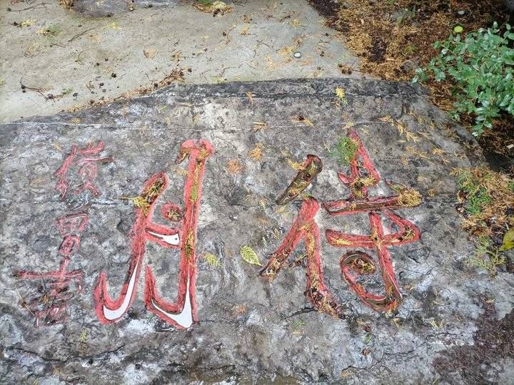 中秋#游记|苍龙峡