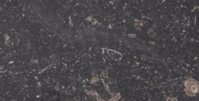 水平 如果有“硅基”生命体,它们在分子水平上就和地球一样吗