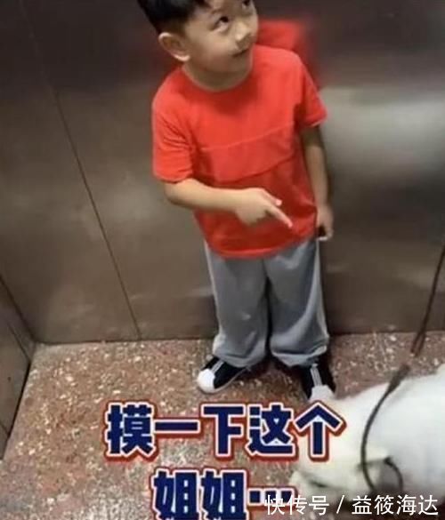 礼貌|阿姨我能摸下这个狗狗吗女叫姐姐,萌娃改口后笑翻众网友