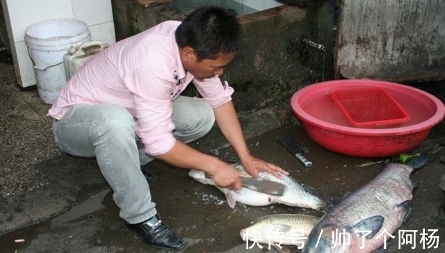 大鱼|农村小伙钓鱼钓到二十多斤大鱼,杀鱼时在体内发现了...