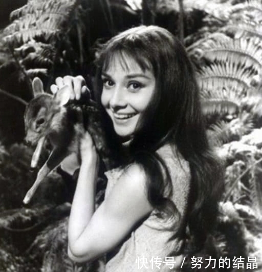 林徽因!嫣然一笑的宋美龄和遛鸟的林徽因罕见照,英姿飒爽,风姿绰约