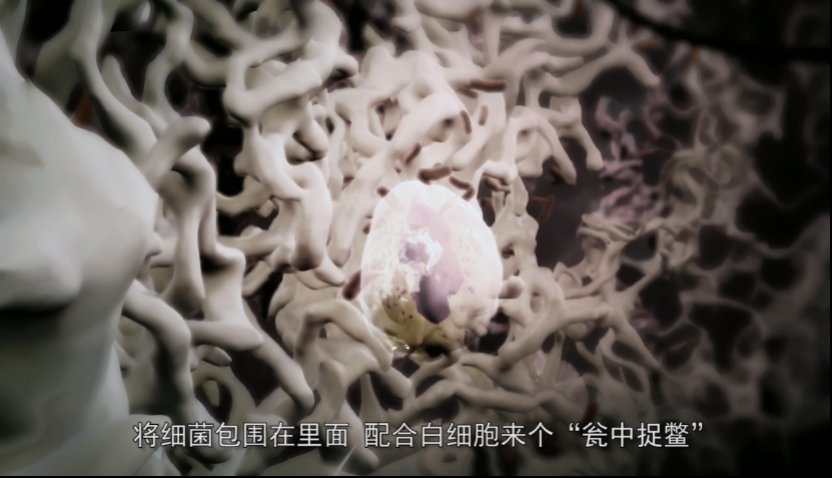 免疫系统|中国医生破解新冠谜团，抗疫喜添新武器——《免疫系统大战病毒细菌》动画记录片之观后感