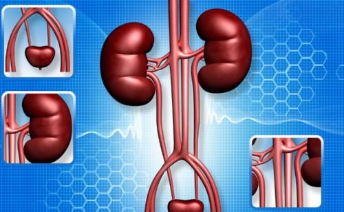 水肿|肾功能出现下降也是有“信号”的，快看看你有没有！