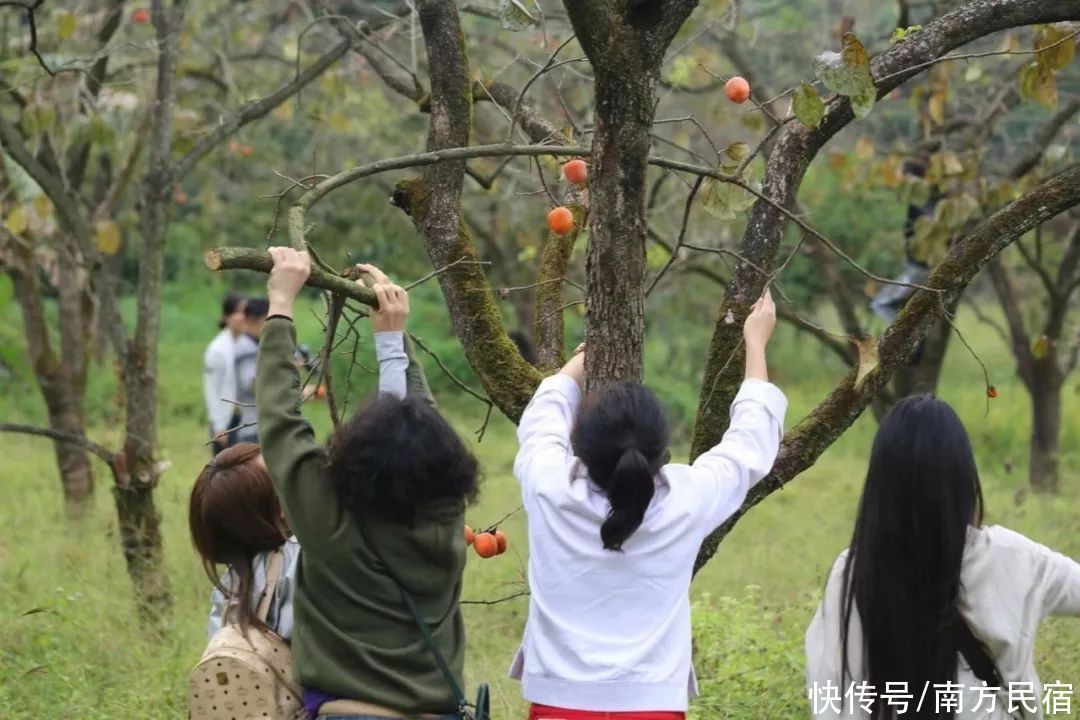 暖心|他用2年时间一桌一椅做出广州从化最暖心民宿，好美好玩丨菁木山