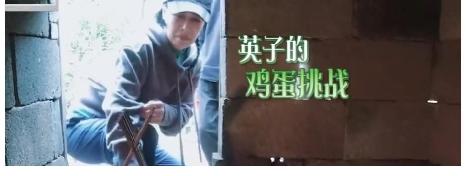 近况|那英曝杨紫近况,调侃张艺兴很有机会,两人迅速熟络斗舞尬跳