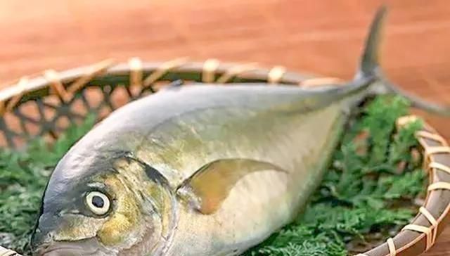 海鱼|以后去市场,就买这5种海鱼,便宜又好吃,鱼铺老板都要夸你懂行