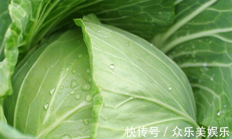 茄子茄子|想长寿要多吃3种食物,营养丰富、延缓衰老,早吃早受益!