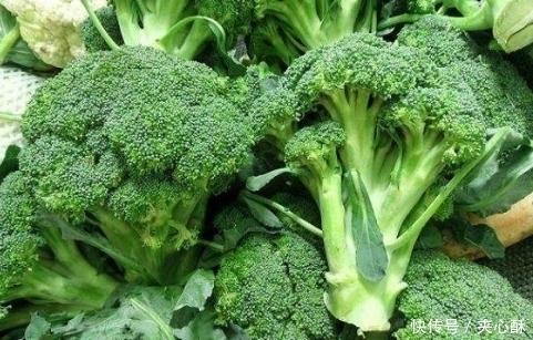 身体|常吃西兰花的人,身体不会差,但切忌与一物同食,很多人还不清楚