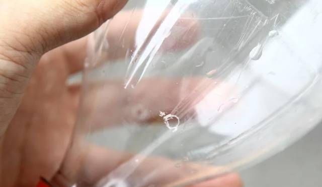 浇水|太神奇了！她在塑料瓶里种蔬菜，一年都吃不完！