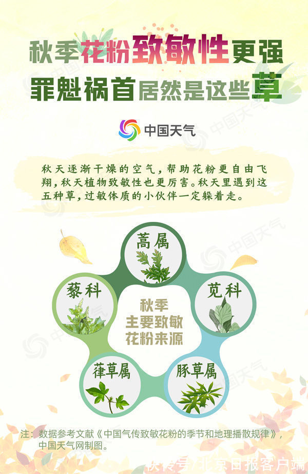 罪魁祸首|立秋后鼻涕眼泪流不停?秋季过敏,你中招了吗?